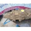 Recambio de caja cambios para nissan navara pick-up (d40m) 2.5 dci diesel cat referencia OEM IAM   