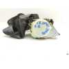 Recambio de cinturon seguridad trasero izquierdo para skoda fabia familiar (6y5) classic referencia OEM IAM 34066181  