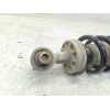 Recambio de amortiguador trasero derecho para peugeot 407 sr sport referencia OEM IAM   