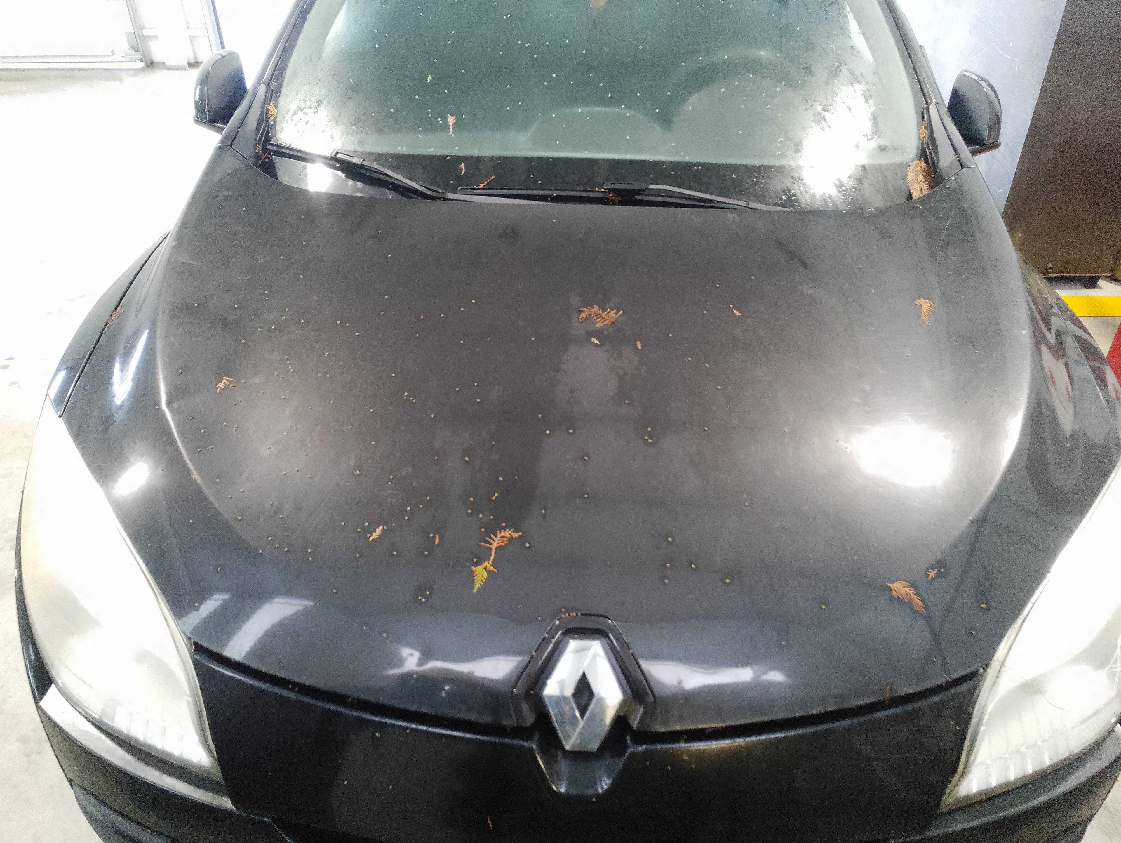 Recambio de capo para renault megane iii berlina 5 p business referencia OEM IAM   