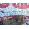 Recambio de diferencial delantero para nissan terrano/terrano.ii (r20) avenue referencia OEM IAM 38511G23007  