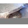 Recambio de llanta para bmw serie 1 berlina (e81/e87) 118d referencia OEM IAM r16 6775818 