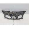 Recambio de panel frontal para renault scenic ii authentique referencia OEM IAM 8200140174  