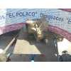 Recambio de caja cambios para ford fiesta (cbk) referencia OEM IAM 2N1R7002ED TTFD0 280408 094210 