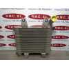 Recambio de intercooler para kia carnival ii 2.9 crdi cat referencia OEM IAM 55313550  