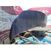 Recambio de capo para renault scenic ii authentique referencia OEM IAM   