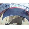 Recambio de capo para renault scenic ii authentique referencia OEM IAM   