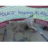 Recambio de diferencial delantero para volkswagen touareg (7la) tdi v6 referencia OEM IAM  0AA409508D 