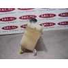 Recambio de deposito expansion para toyota land cruiser (j15) life referencia OEM IAM   