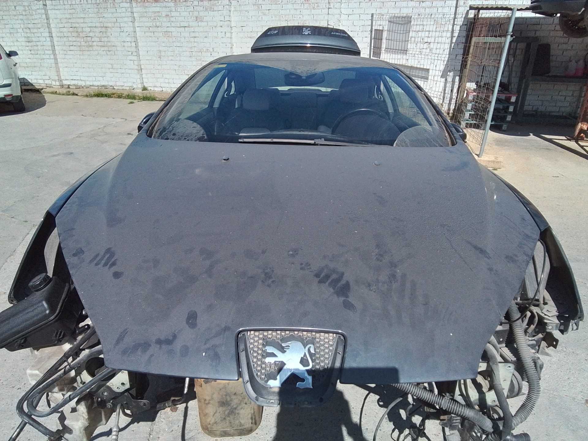 Recambio de capo para peugeot 407 coupe básico referencia OEM IAM   