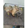 Recambio de caja transfer para mitsubishi galloper (hyundai) 2.5 td cat referencia OEM IAM   